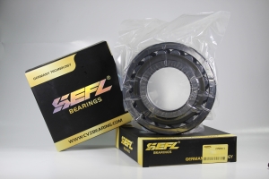 Spherical Roller Bearing